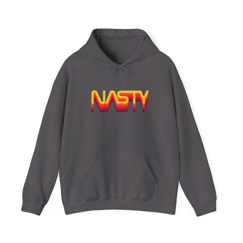 NASTY vintage sunset vibes NASA logo inspired unisex hooded sweatshirt